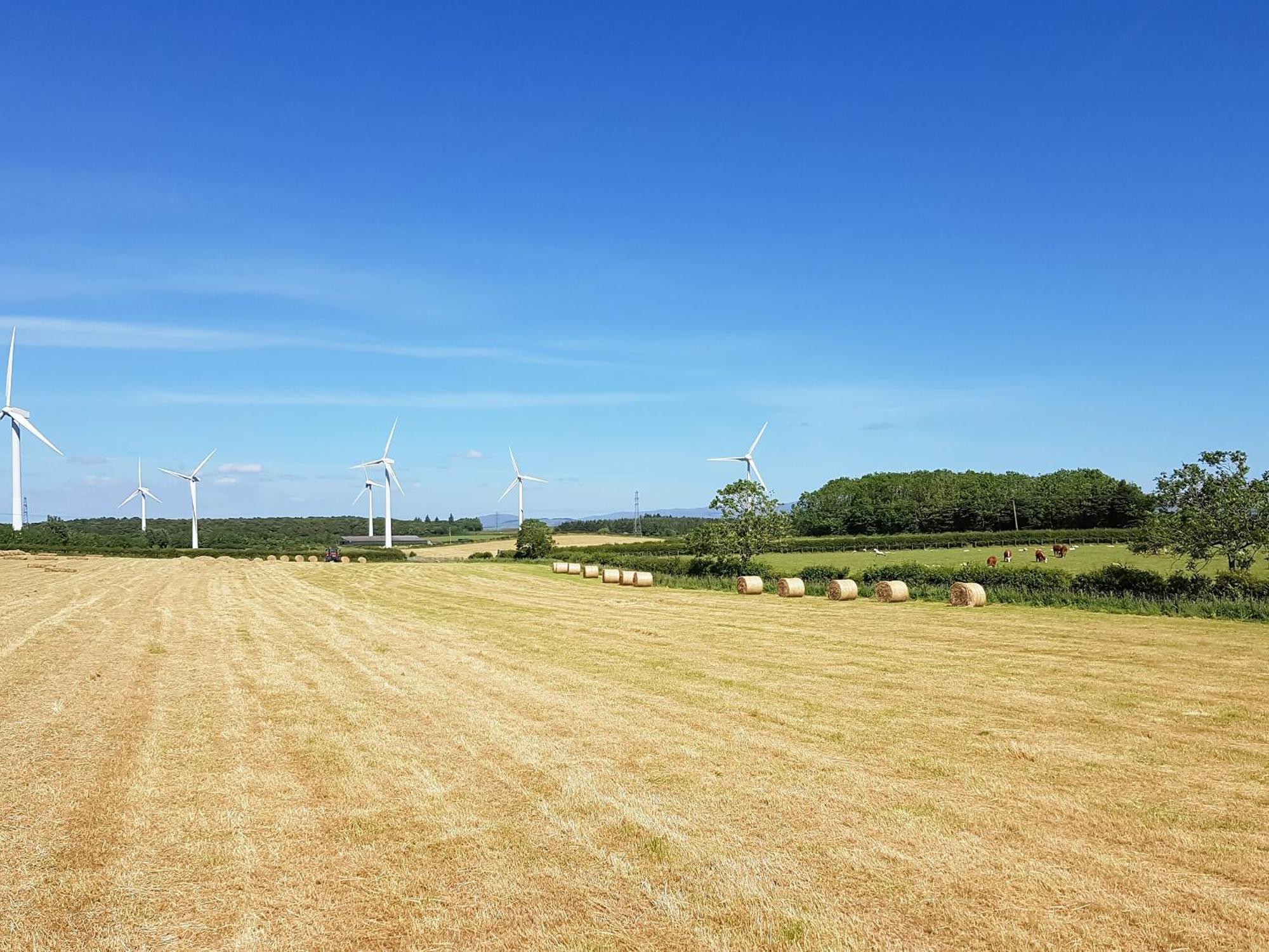 High Mains Villa Winscales Exteriör bild
